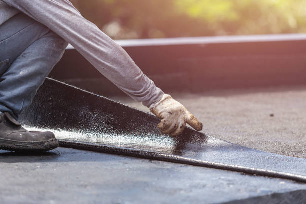 Professional Interior Drainage System technician working in Ravenna, MI
